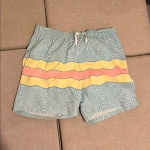 Chubbies Swim Trunks
